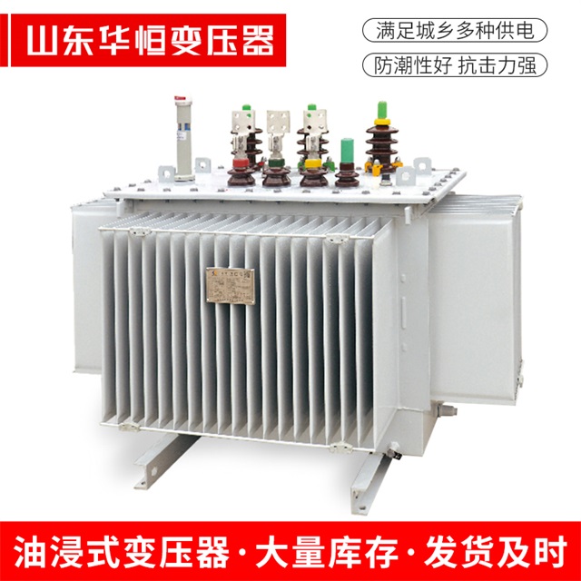 S13-10000/35进贤进贤进贤电力变压器